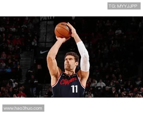 布鲁克洛佩斯：从内线巨兽到全能球员的华丽转身与职业生涯回顾