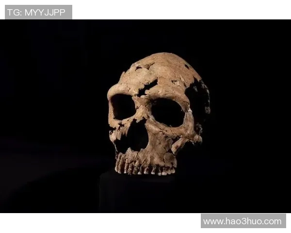 探索布莱克尼的魅力与历史深度，揭示其在文化与自然中的独特地位